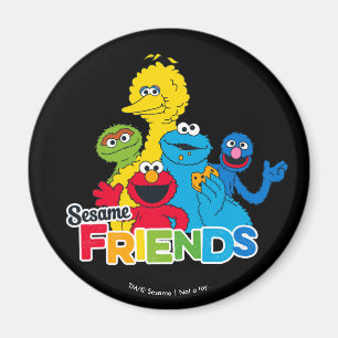 Sesame Street   Sesame vrienden Magneet