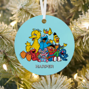 Sesame Street-vrienden Aangepaste naam & foto Metalen Ornament