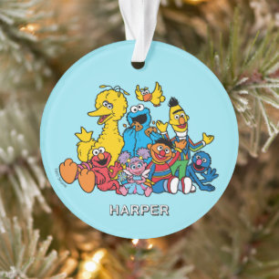 Sesame Street-vrienden Aangepaste naam & foto Ornament