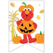 Sesamstraat - Elmo | Pumpkin First Birthday Vlaggetjes (Eerste vlag)