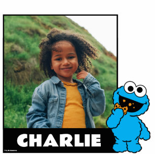 Sesamstraat Koekjesmonster Staand Fotobeeldje