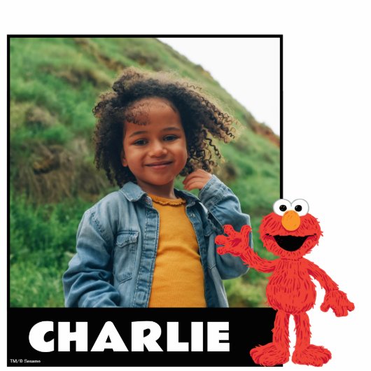 Sesamstraat | Koekjesmonster Staand Fotobeeldje (Voorkant)