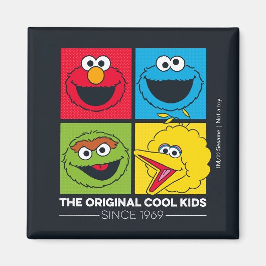 Sesamstraat | Oorspronkelijke Kinderen Magneet (Voorkant)