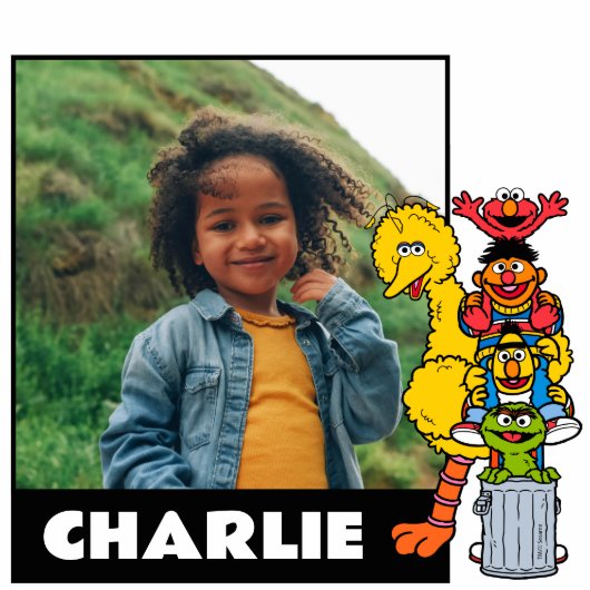 Sesamstraat | Sesamstraat Vrienden Pose Staand Fotobeeldje (Voorkant)