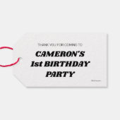 Sesamstraat Vrienden ballonnen Verjaardag dank u Cadeaulabel (Achterkant Horizontaal)