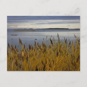 Sescape from Ostrobothnia CC0076 Carte postale