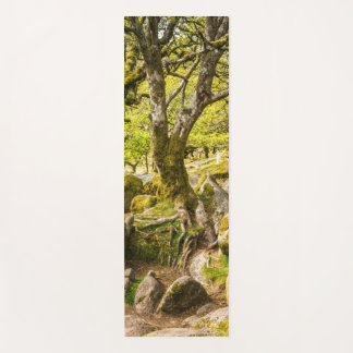 Sessile eiken en mos in Wistman's Wood Yogamat