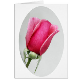 S'est levé dans l'ovale