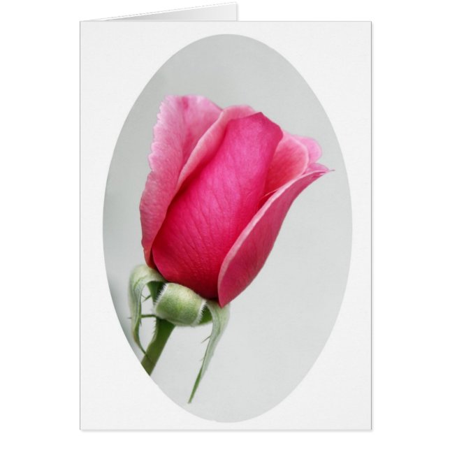 S'est levé dans l'ovale (Devant)