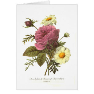 S'est levé et le chrysanthème