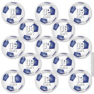 set blauwe teamkleuren 13 voetbalspelers sticker