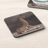 Set de 6 dessous de verre bébé girafe (Côté gauche)