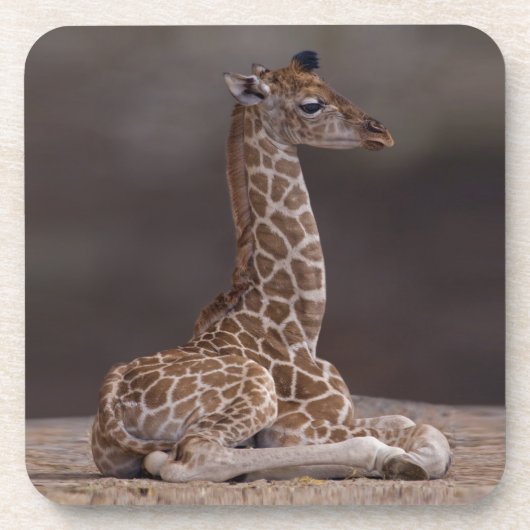 Set de 6 dessous de verre bébé girafe (Devant)
