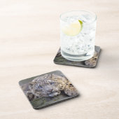 Set de 6 dessous de verre Vishnu Snow Léopard (Côté Droit)