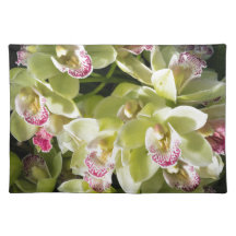 Orchidées jaunes grandes de bateau