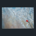 Set De Table Stratifié Red Cardinal dans Winter Nature Photo de Christmas<br><div class="desc">Set de table avec une photo nature pittoresque représentant un cardinal rouge vif. Contrasté par rapport à un arrière-plan hivernal extérieur avec la neige tombant doucement vers le bas.</div>
