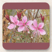 Set onderzetter - Roze Guara (Voorkant)