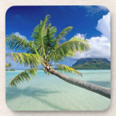 Set-Tropiques dessous de verre (Devant)