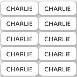 Set van 10 Eenvoudige Kleine Naamlabels Afgeronde  Sticker