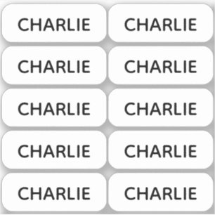 Set van 10 Eenvoudige Kleine Naamlabels Afgeronde Sticker