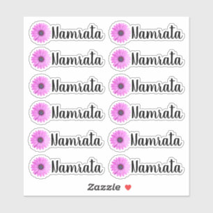 Set van 12 gepersonaliseerde Daisy Name Label Stic