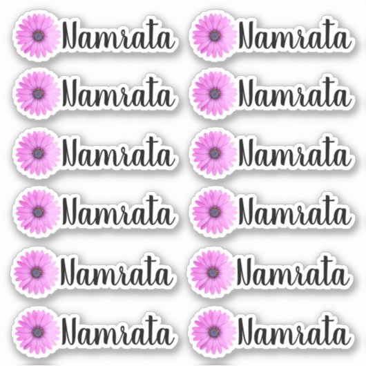 Set van 12 gepersonaliseerde Daisy Name Label Stic (Voorkant)