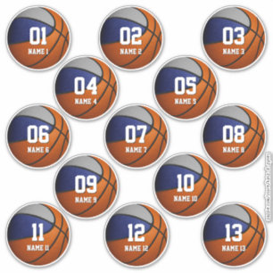 set van 13 blauwe grijze teamkleuren basketbal sticker