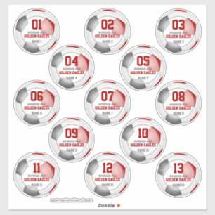 Set van 13 kinder kleuren van het rode grijze voet sticker