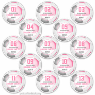 set van 13 meisjes roze grijze voetbalploegen sticker