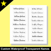 (Set van 18) Zwarte Transparante Eenvoudige Naamst Sticker