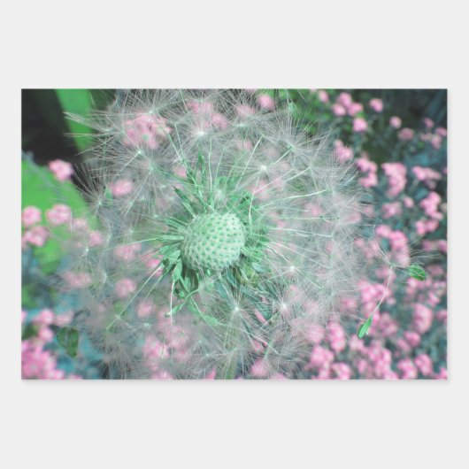 set van 3 Dandelion wenst zaadkop Inpakpapier Vel (Voorkant 2)