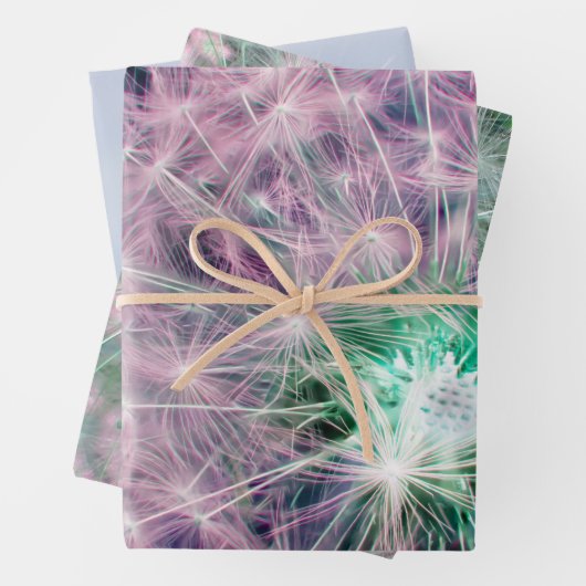 set van 3 Dandelion wenst zaadkop Inpakpapier Vel (In situ)