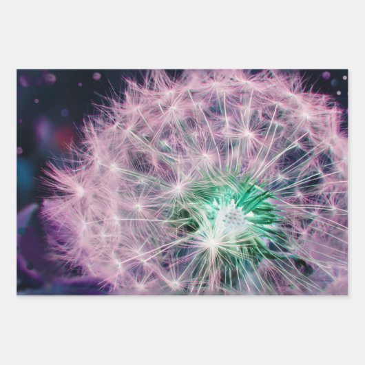set van 3 Dandelion wenst zaadkop Inpakpapier Vel (Voorkant)