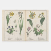 Set van drie antiek botanische kunst print inpakpapier vel (Voorkant 3)