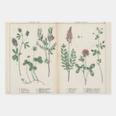 Set van drie antiek botanische kunst print inpakpapier vel (Voorkant)