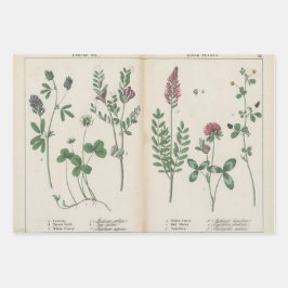 Set van drie antiek botanische kunst print inpakpapier vel