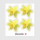 Set van vier gele Daffodil Blooms Sticker (Vel)