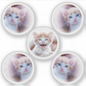 Set van vijf cirkelvormfoto's sticker (Voorkant)