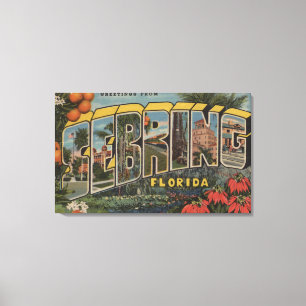 Setake, Florida - Large Letter Scenes Canvas Afdruk