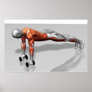 Setanta duw omhoog 4 poster