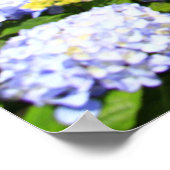 Sete Cidades, Azoren Poster (Hoek)