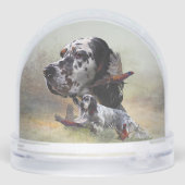 Setter anglais (Arrière)