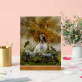 Setter anglais (Mariage)