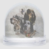 Setter anglais (Arrière)