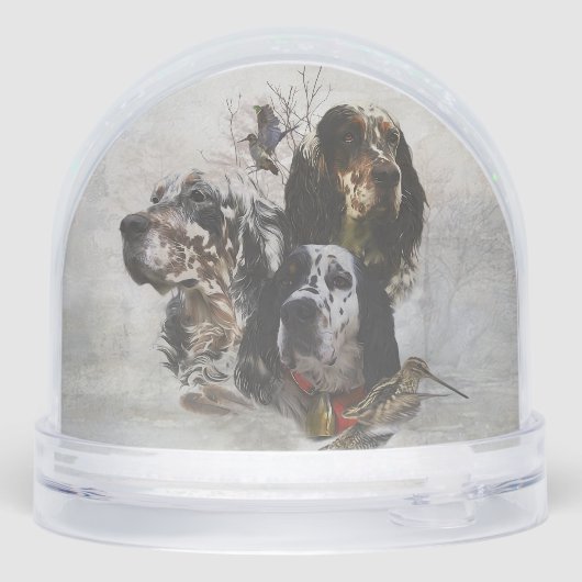 Setter anglais (Arrière)