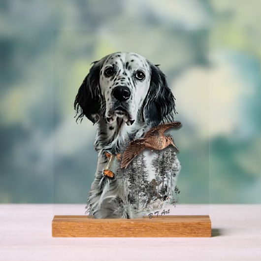 Setter anglais (Neutre)