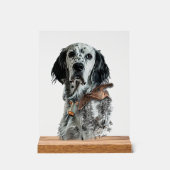 Setter anglais (Recto)