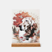 Setter anglais (Recto)