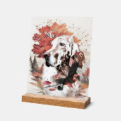 Setter anglais (Angle)