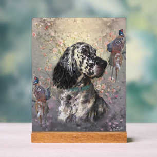 Setter anglais